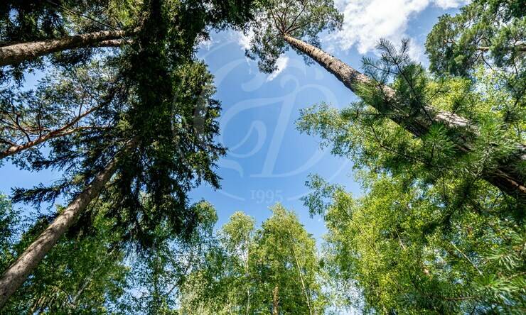 Лот-12382-454543 продажа дома Рублево-Успенское шоссе Сосновый Бор