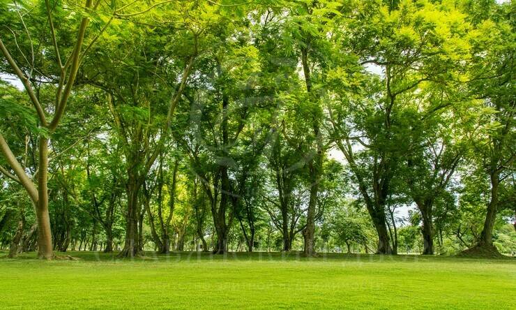 Лот-12386-454673 продажа участка Рублево-Успенское шоссе Горки-2