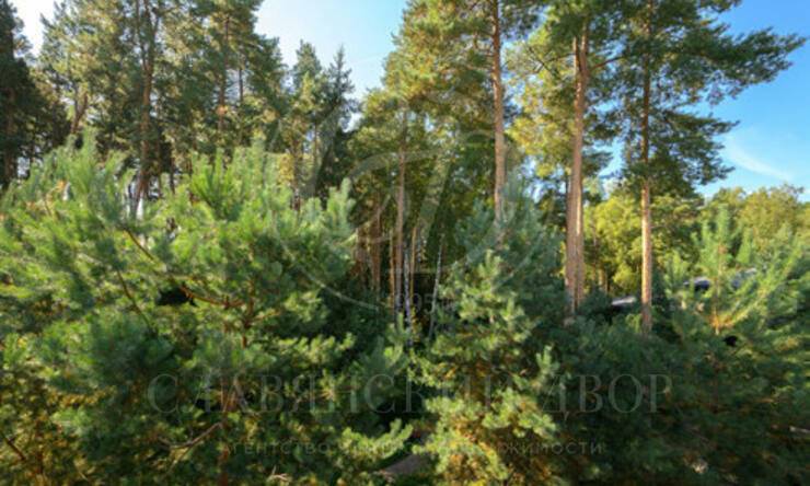 Лот-12403-455510 продажа дома Новорижское шоссе Бенилюкс