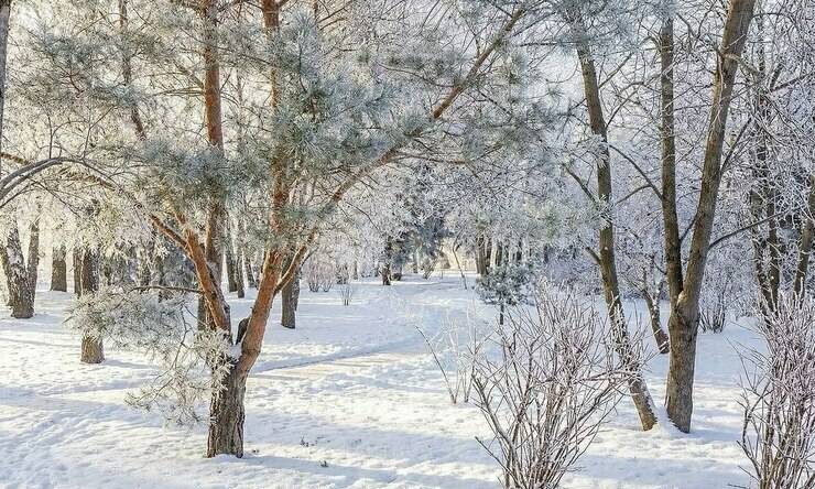 Лот-12404-455527 продажа дома Новорижское шоссе Миллениум парк