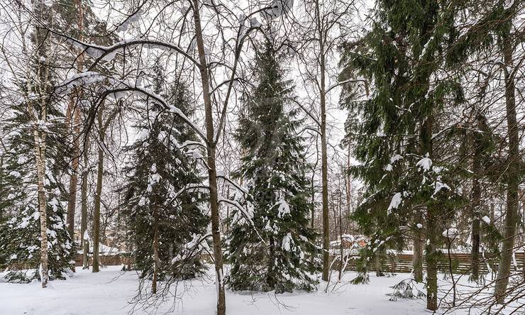 Лот-12424-456115 продажа дома Рублево-Успенское шоссе Петрово-Дальнее