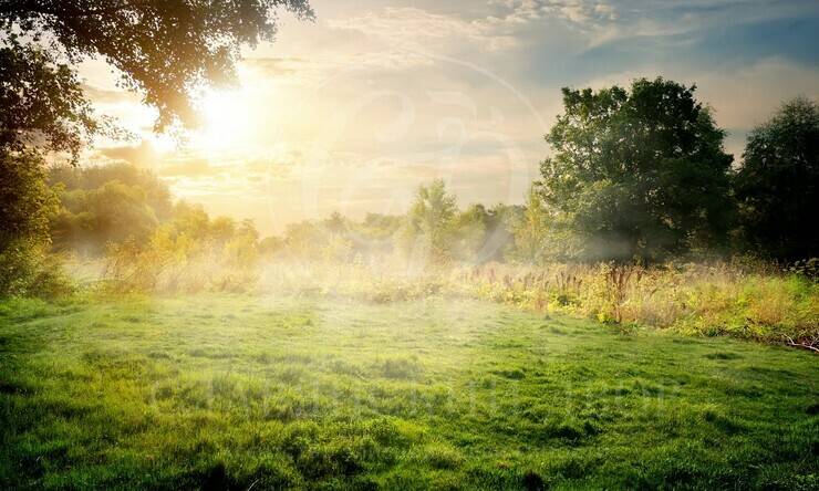 Лот-12430-456395 продажа участка Рублево-Успенское шоссе НПИЗ Раздоры-2 (Рассвет)