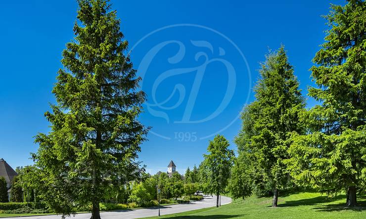 Лот-12449-457285 продажа участка Новорижское шоссе Агаларов Эстейт