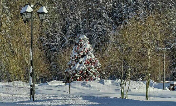 Лот-12465-458454 продажа дома Рублево-Успенское шоссе Резиденция Березки