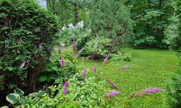 Лот-11989-458976 продажа дома Рублево-Успенское шоссе Сосновый Бор