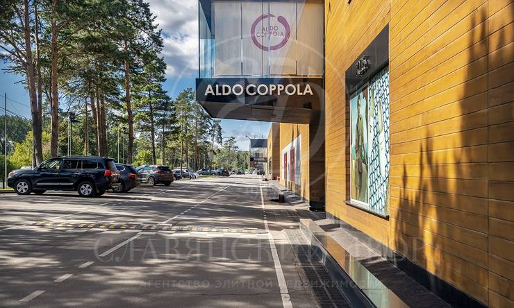 Лот-12454-460152 продажа участка Рублево-Успенское шоссе Ромашково