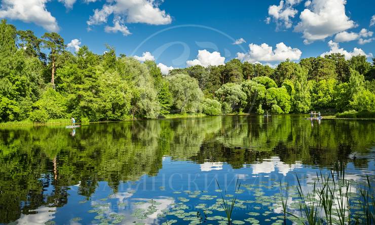 Лот-7289-460778 продажа дома Москва Серебряный бор