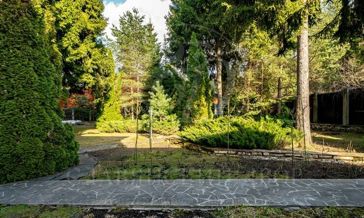 Лот-12506-460845 продажа участка 1-е Успенское шоссе Дипломат [1-е Успенское шоссе]