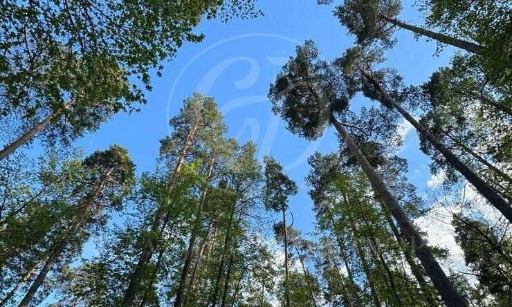 Лот-12538-463043 продажа дома Рублево-Успенское шоссе Жуковка