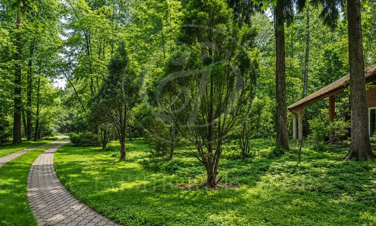 Лот-12540-463218 продажа участка Рублево-Успенское шоссе РАН Ново-Дарьино