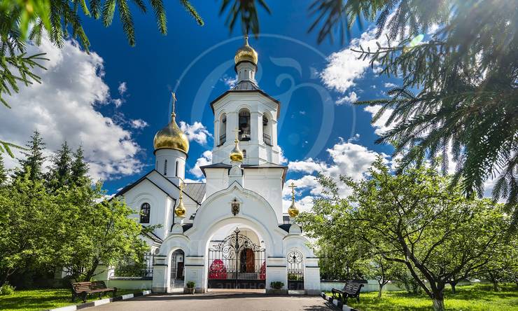 Лот-12551-463904 продажа дома Рублево-Успенское шоссе Горки-8