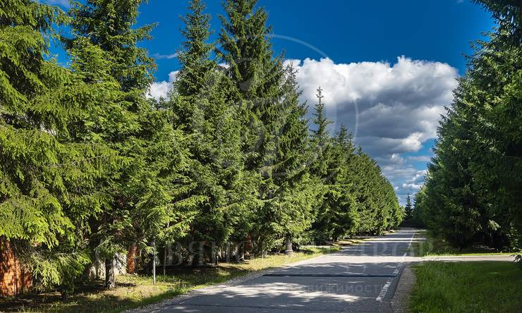 Лот-12551-463905 продажа дома Рублево-Успенское шоссе Горки-8