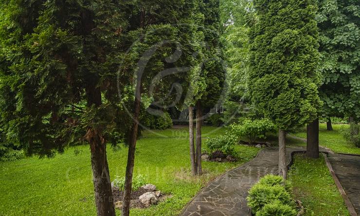 Лот-5236-464133 аренда дома Рублево-Успенское шоссе Пруды