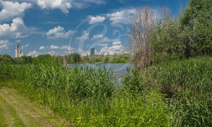 Лот-12567-465958 аренда дома Москва Остров-фантазий