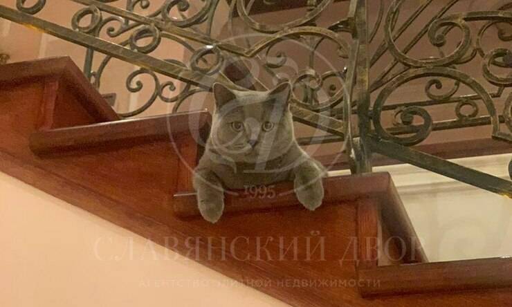 Лот-12588-465993 аренда дома Новорижское шоссе Лужки