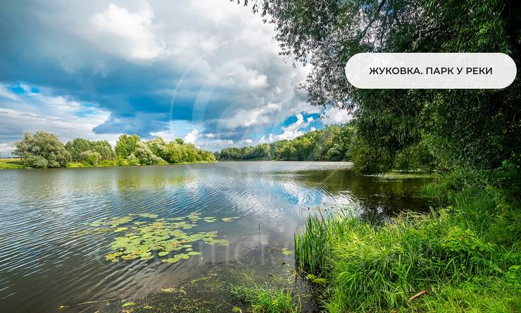 Лот-11969-469555 продажа участка Рублево-Успенское шоссе Камыши