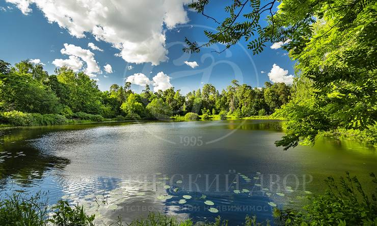 Лот-12637-469589 продажа дома Москва Серебряный бор
