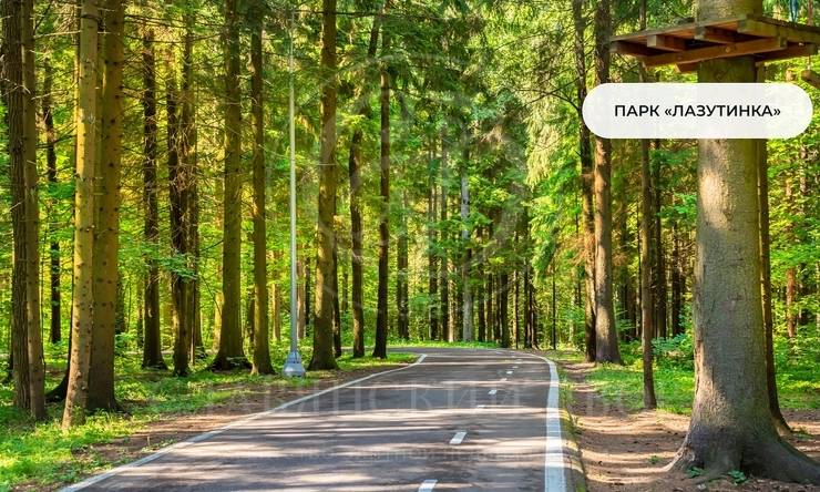 Лот-12301-469940 продажа участка 1-е Успенское шоссе Николино (Новое Николино)