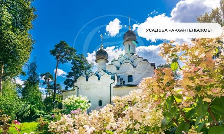 Лот-3546-471973 продажа дома Рублево-Успенское шоссе Горки-6