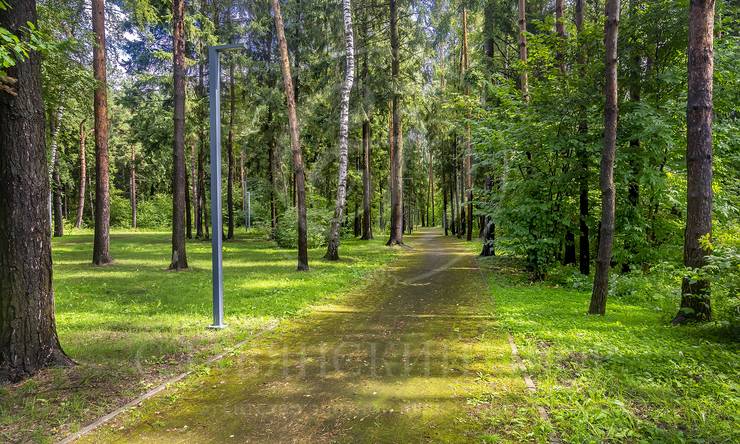 Лот-3333-476348 продажа участка 1-е Успенское шоссе Николино (Новое Николино)
