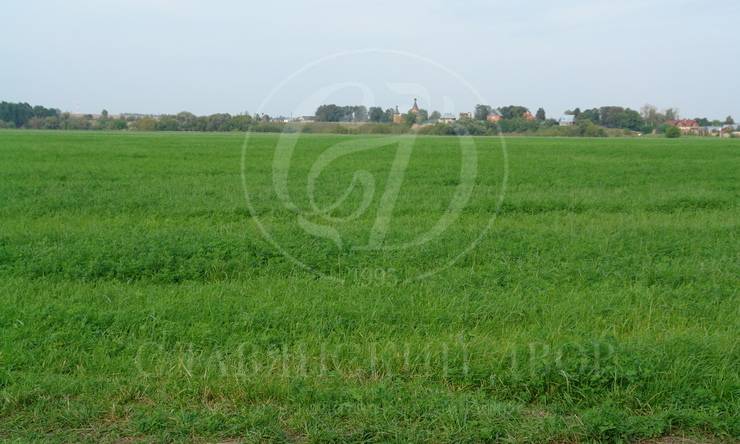 Лот-1442-67225 продажа участка Новорижское шоссе Котово