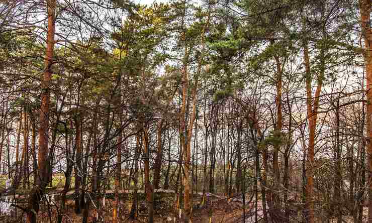 Лот-1740-68448 продажа дома Рублево-Успенское шоссе Барвиха