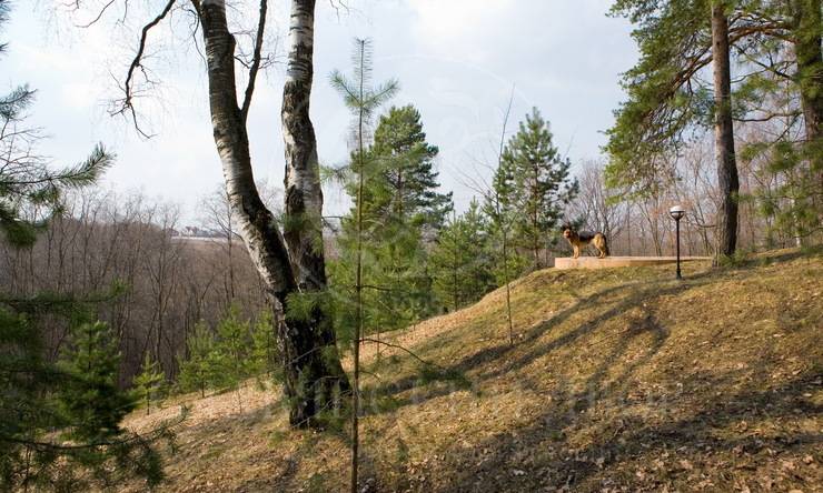 Лот-2780-73802 аренда дома Минское шоссе Немчиновка