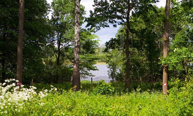 Лот-2931-74802 аренда дома Новорижское шоссе Истра