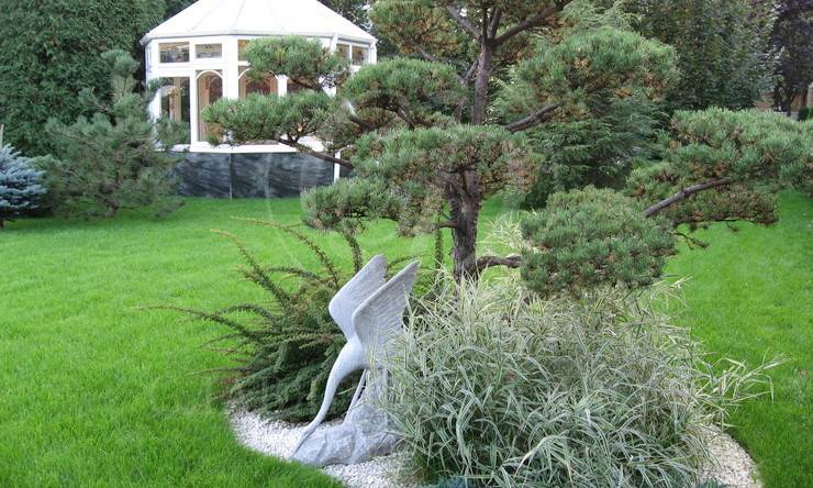 Лот-2969-75071 аренда дома Рублево-Успенское шоссе Новь 