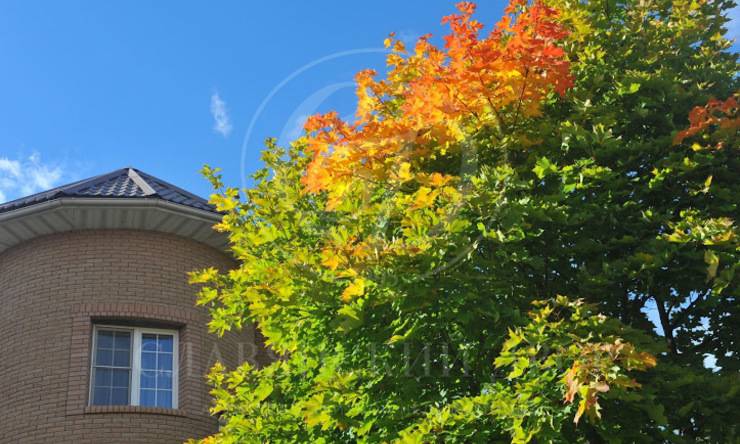 Лот-3766-80623 аренда дома Новорижское шоссе Степановское