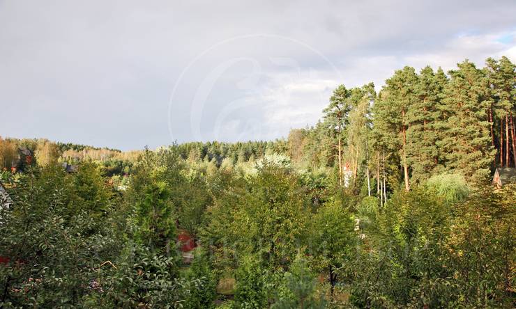 Лот-3770-80663 продажа дома Рублево-Успенское шоссе Корабельные Сосны