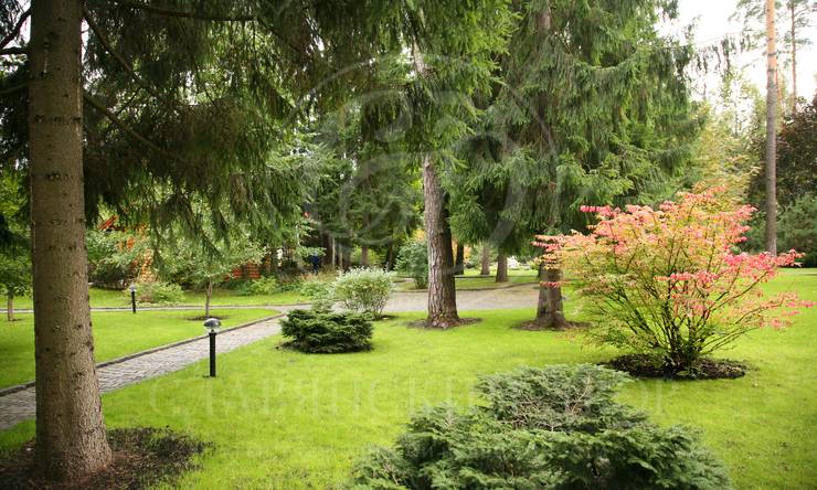 Лот-3775-80700 аренда дома Рублево-Успенское шоссе Горки Лесные