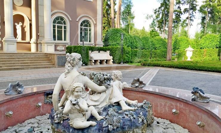 Лот-3782-80730 продажа дома 1-е Успенское шоссе Николино (Новое Николино)