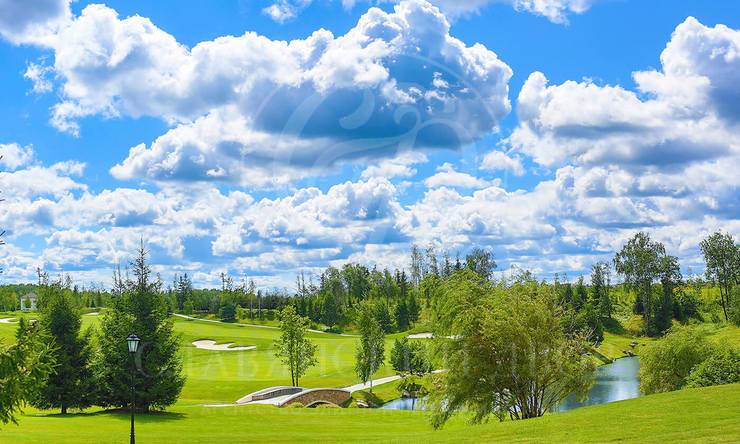 Лот-3810-80906 продажа участка Новорижское шоссе Агаларов Эстейт