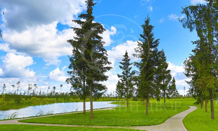 Лот-3810-80908 продажа участка Новорижское шоссе Агаларов Эстейт