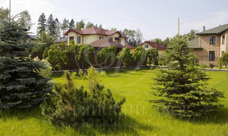 Лот-4039-82367 аренда дома Рублево-Успенское шоссе Чигасово -2