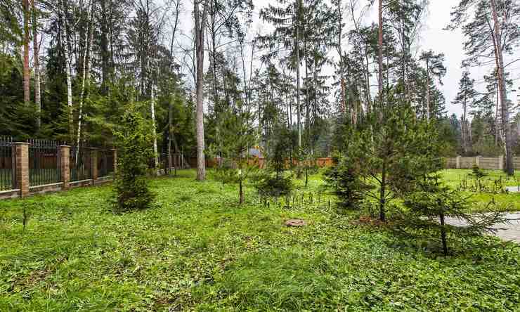 Лот-4465-84827 продажа дома Минское шоссе Грибово