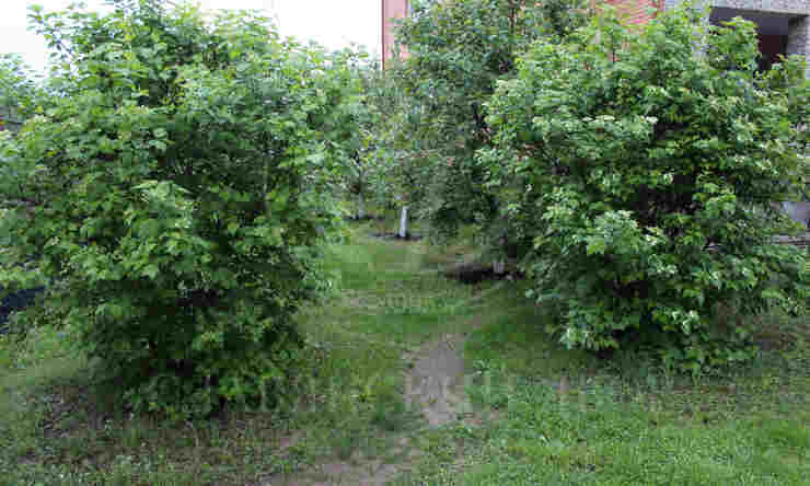 Лот-4594-85536 продажа дома Рублево-Успенское шоссе Ивановка