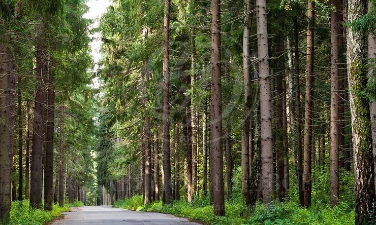 Лот-4932-87771 продажа дома Рублево-Успенское шоссе Азарово