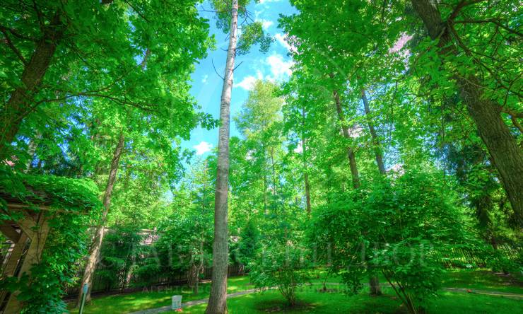 Лот-5250-89795 аренда дома Рублево-Успенское шоссе Рублёвский