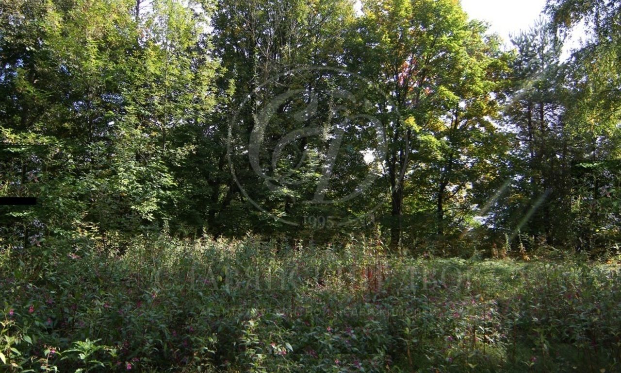 Лесной участок в премиальном поселке на берегу  водохранилища Курорт Пирогово