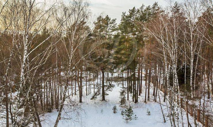 Лот-6162-96411 продажа участка Рублево-Успенское шоссе Сосновый Бор