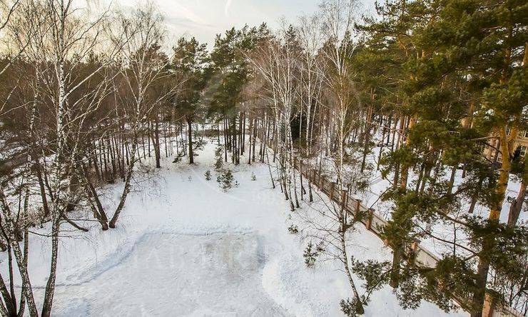 Лот-6162-96412 продажа участка Рублево-Успенское шоссе Сосновый Бор