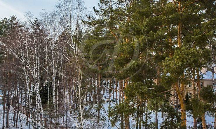 Лот-6162-96413 продажа участка Рублево-Успенское шоссе Сосновый Бор