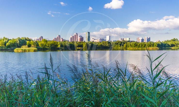 Лот-6391-98085 продажа дома Москва Остров-фантазий